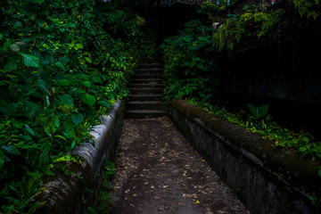 Forgotten pathways in Bali