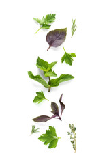 Set of various fresh herbs isolated on white background.