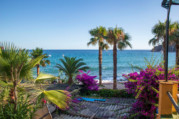 Palm trees, sea, beach and summer colors in Spain
