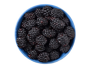 Ripe fresh blackberries in a bowl on white background. Top view.