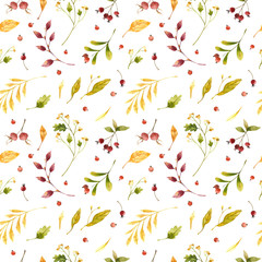 Fall leaves, wildflowers and berries watercolor seamless pattern. Autumn mood, Seasonal wild plants. 
