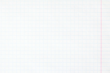 White checkered exercise book sheet of paper texture background. Horizontal picture.