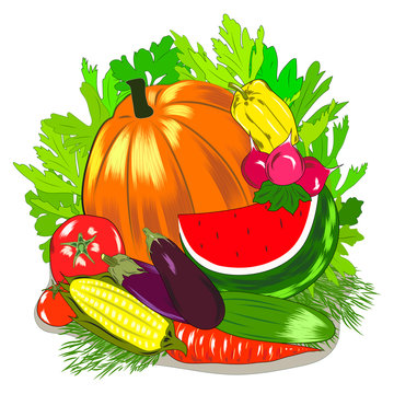 The flat pattern of the vegetables. Vegetable harvest at the farmers ' market. Gardening, vegetarianism. Illustration