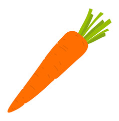 Carrot root vegetable isolated. Vector vegetarian food, harvest of crop, farming and agriculture concept fresh veggie with green leaves, healthy organic natural meal