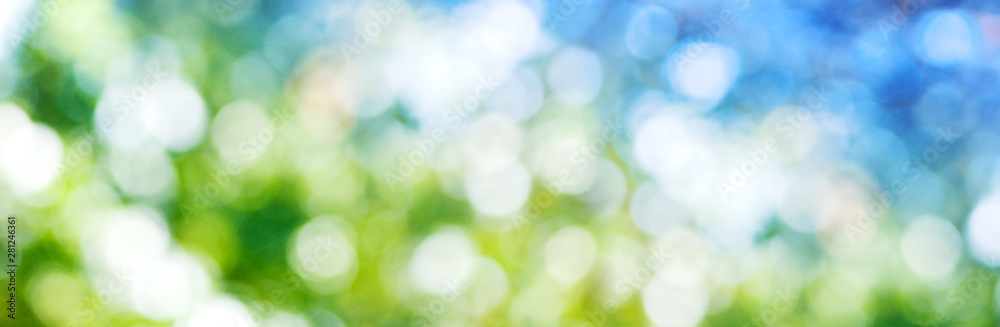Fototapete abstract image of natural background. blurred image made from defocused image of leaves and sky in t