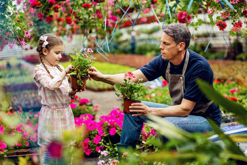 Father and small daughter working with flowers at plant nursery.