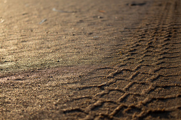tire tracks in the sand