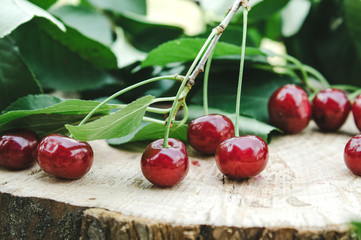 Red cherries and branches with green leaves on a wooden table.