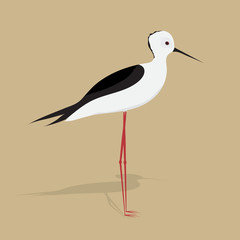 Bird. Little heron. Flat design. Vector Illustration.