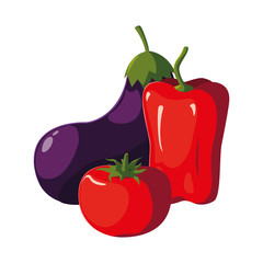 fresh vegetables eggplant pepper and tomato