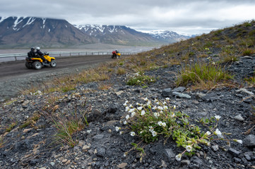 Four-wheel drive in Svalbard Landscape