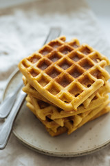 Viennese waffles on a plate