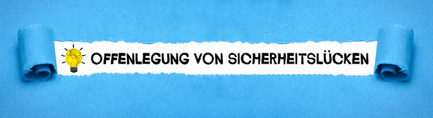 Offenlegung von Sicherheitslücken