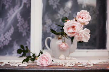 Beautiful flowers from   garden