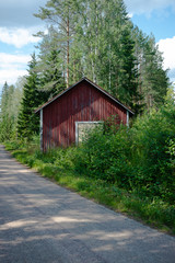 old wooden house in the forest