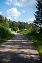 road in the forest