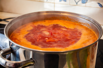 Russian borsh