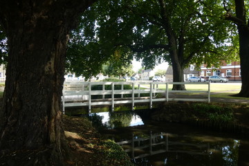 Fototapeta premium Village Green