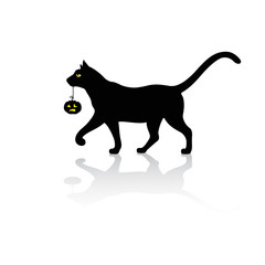 Halloween cat