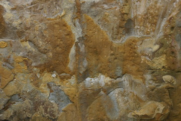 stone marine coastal texture background brown ochre reddish spots