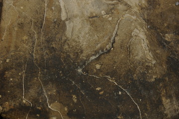 stone marine coastal texture dark brown background