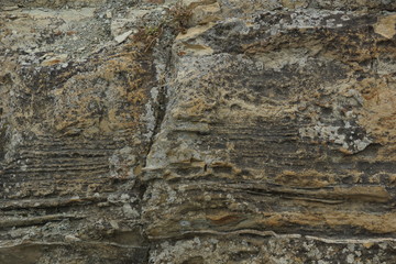 rock surface background texture weathering the ravages of time