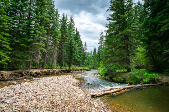 Summer at the Duchesne River