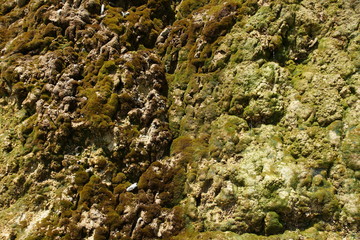 rock surface background texture