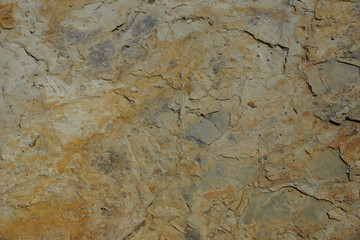 stone marine coastal texture background