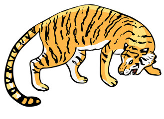 Growling tiger, vector illustration, isolated.