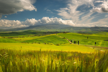 Impressive autumn landscape,view with cypresses Tuscany,Italy