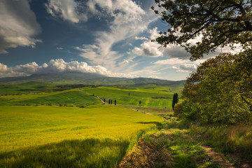 Impressive autumn landscape,view with cypresses Tuscany,Italy