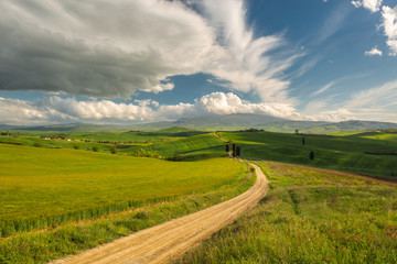 Obraz premium Imponujący jesienny krajobraz, widok z cyprysami Toskania, Włochy