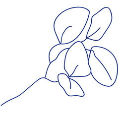Blue mono line art of foliage on the white isolated background.
