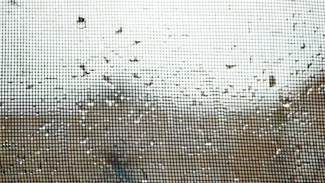 raindrops on mosquito net.mosquito net