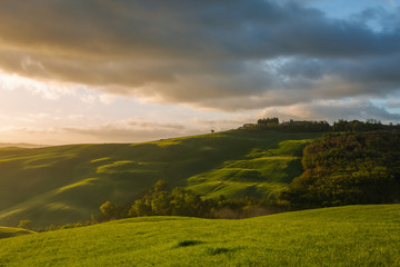 Fototapeta premium Impressive autumn landscape,view with cypresses Tuscany,Italy