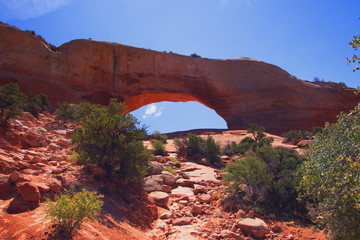 Wilson Arch