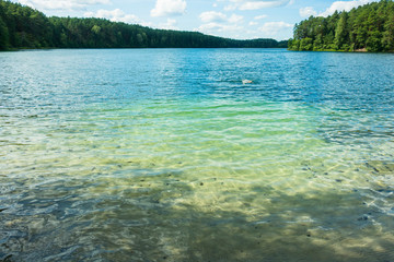 Lazurowe jezioro czyste turkusowe czysta woda - obrazy, fototapety, plakaty