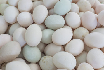 Fresh dirty duck eggs from farm for wholesale at egg market,top view pattern background