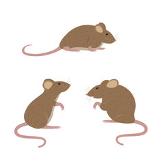 Cartoon mouse. Vector illustration on white background.