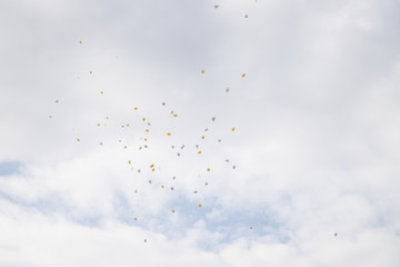 Lâché de ballons pour un mariage