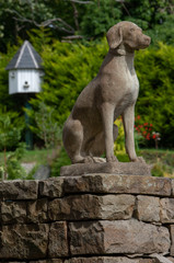Obraz na płótnie Canvas Gate with dog Westcoast Ireland