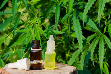 Bottle of CBD oil on cannabis background. Wellness Hemp Cannabidiol. Premium marijuana products. Medical cannabis with extract CBD. A place for copy space.  Natural soft light