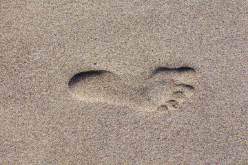 Fototapeta na wymiar Footprint in the Sand Crete beach.