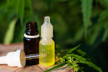 Bottle of CBD oil on cannabis background. Wellness Hemp Cannabidiol. Premium marijuana products. Medical cannabis with extract CBD. A place for copy space.  Natural soft light