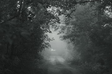 Beautiful black and white photography of early morning foggy countryside landscape.