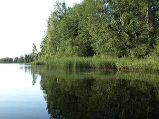 beautiful summer landscape with calm lake, reflections of different trees, blue sky, calm water, Latvia