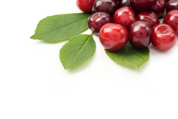 Ripe cherry berries on a white background, close-up