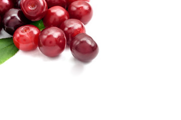 Ripe cherry berries on a white background, close-up