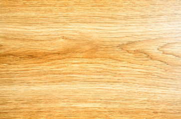 Fototapeta premium Maple wood